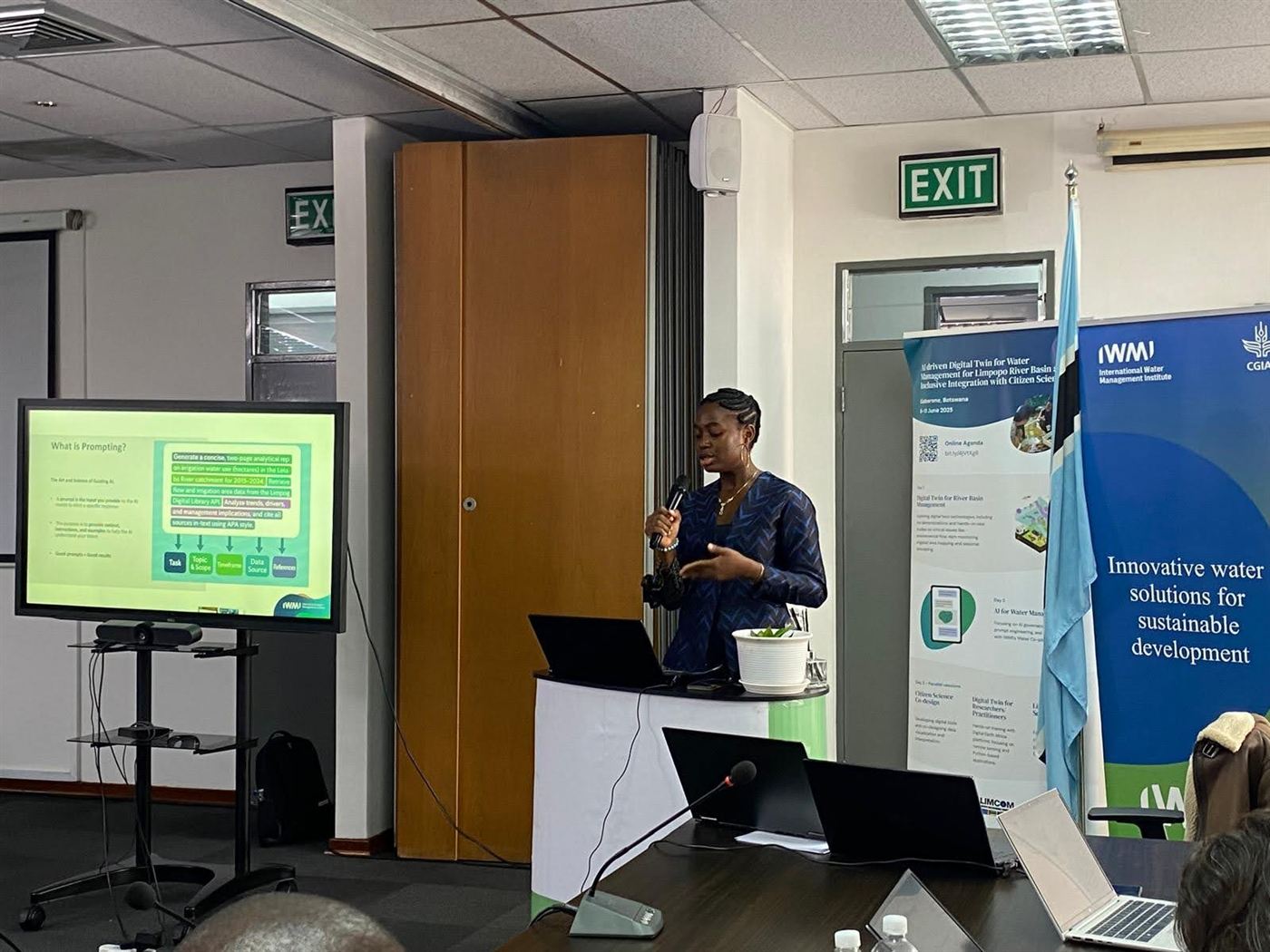 AI governance & prompt-engineering workshop — IWMI, Botswana